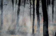 Incendies 2026 : « il y aura un avant et un après »