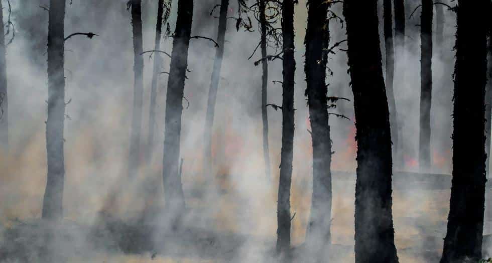 Incendies 2026 : « il y aura un avant et un après »