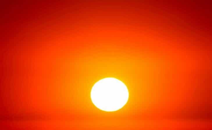 La canicule : un enjeu politique pour sauvegarder le vivant
