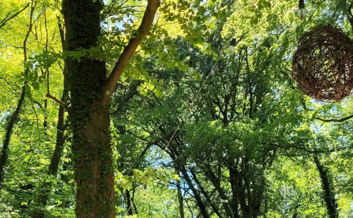Interview : comment renforcer les associations face à l’épuisement militant ?