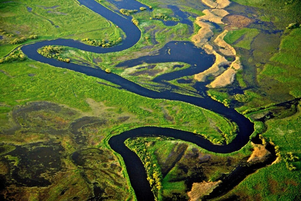 Brésil Amazone